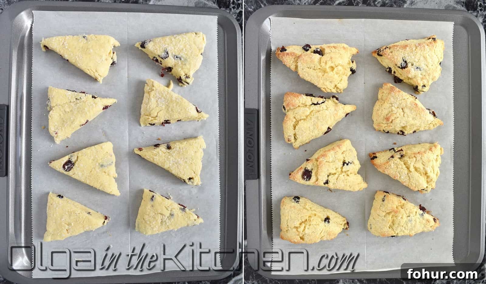 Flaky Homemade Cranberry Scones Recipe 8 Fresh baked cranberry scones