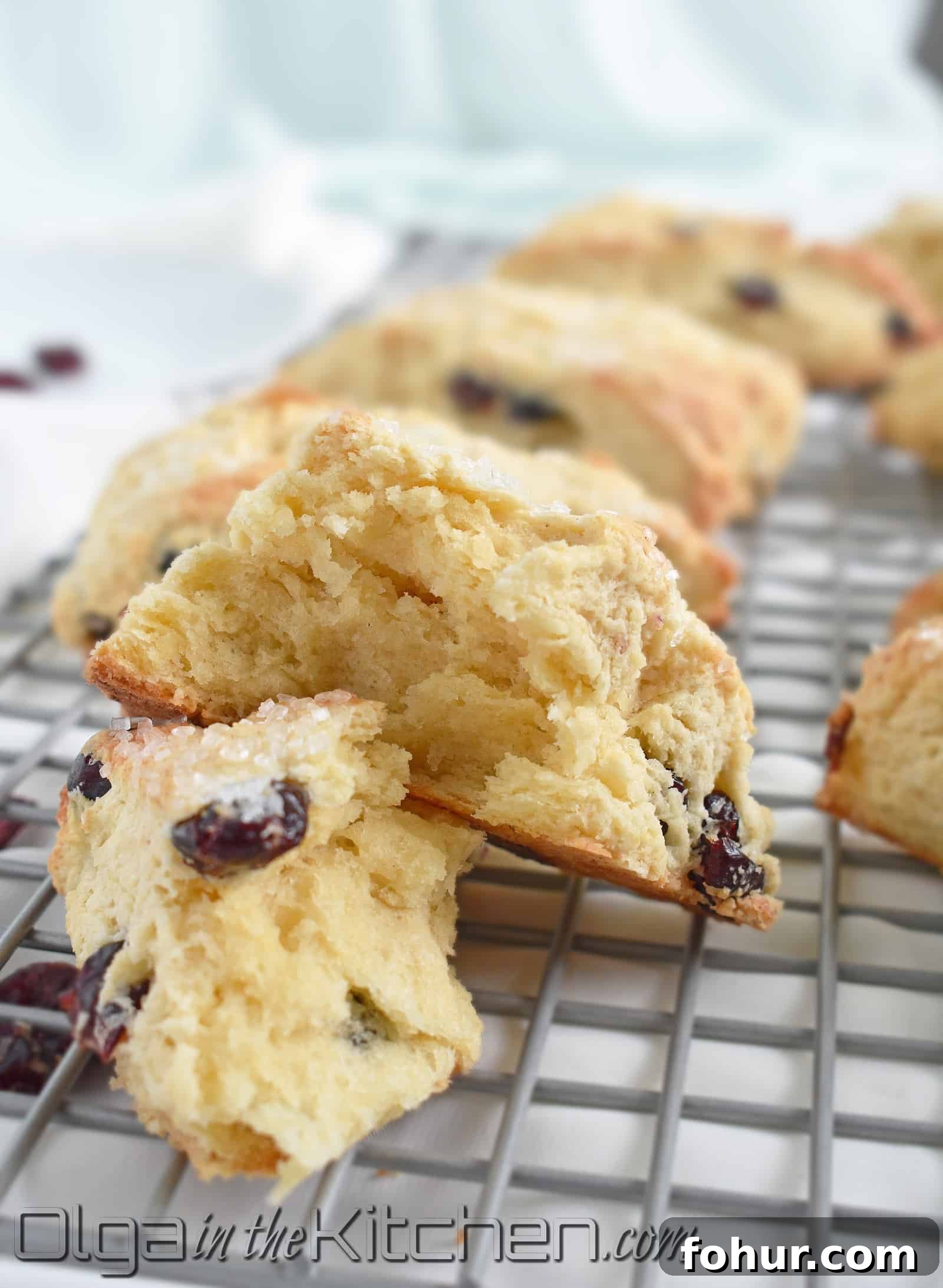 Flaky Homemade Cranberry Scones Recipe 9 Cranberry scones ready to serve