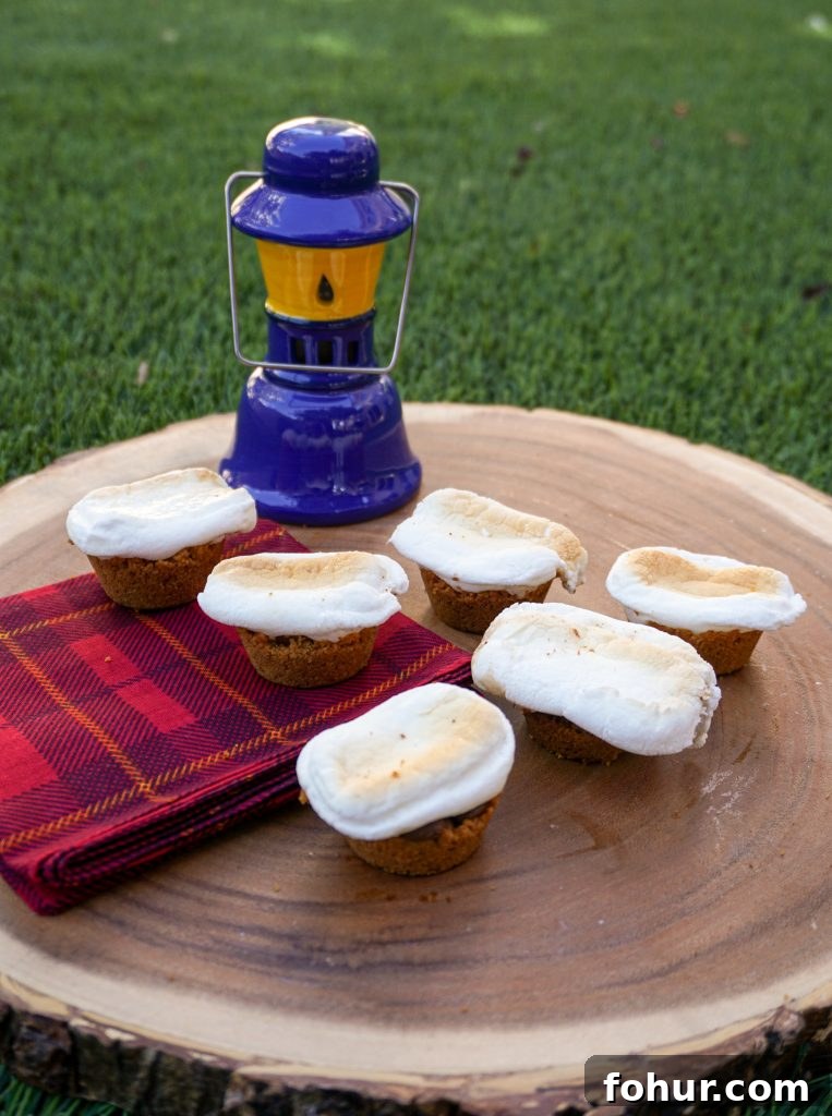 No-Bake Mini S'mores Bites Recipe for Summer Parties 2 What’s better than s’mores over the campfire on a summer evening? Not much, but you can enjoy s’mores even if you’re stuck indoors! This easy S’mores Bites recipe is super quick and easy to make at home, using just the usual s’mores ingredients. They make a great party dessert idea or a great summer snack!