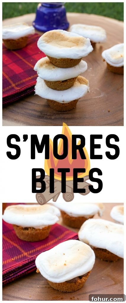 No-Bake Mini S'mores Bites Recipe for Summer Parties 7 What’s better than s’mores over the campfire on a summer evening? Not much, but you can enjoy s’mores even if you’re stuck indoors! This easy S’mores Bites recipe is super quick and easy to make at home, using just the usual s’mores ingredients. They make a great party dessert idea or a great summer snack!