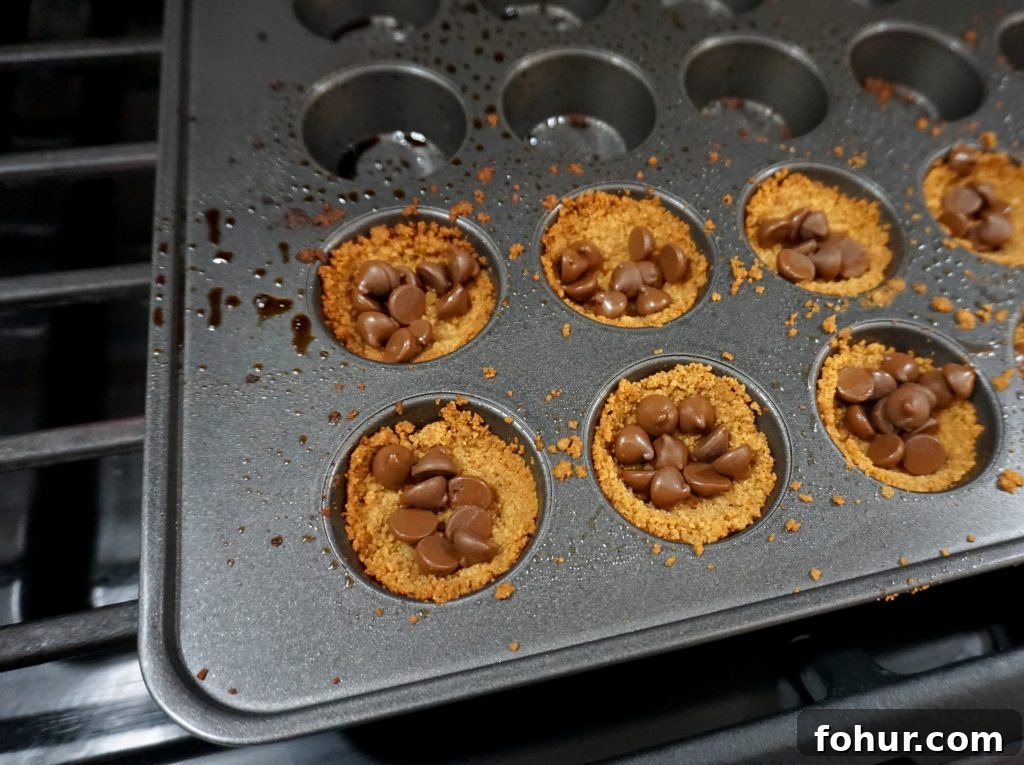 No-Bake Mini S'mores Bites Recipe for Summer Parties 4 What’s better than s’mores over the campfire on a summer evening? Not much, but you can enjoy s’mores even if you’re stuck indoors! This easy S’mores Bites recipe is super quick and easy to make at home, using just the usual s’mores ingredients. They make a great party dessert idea or a great summer snack!