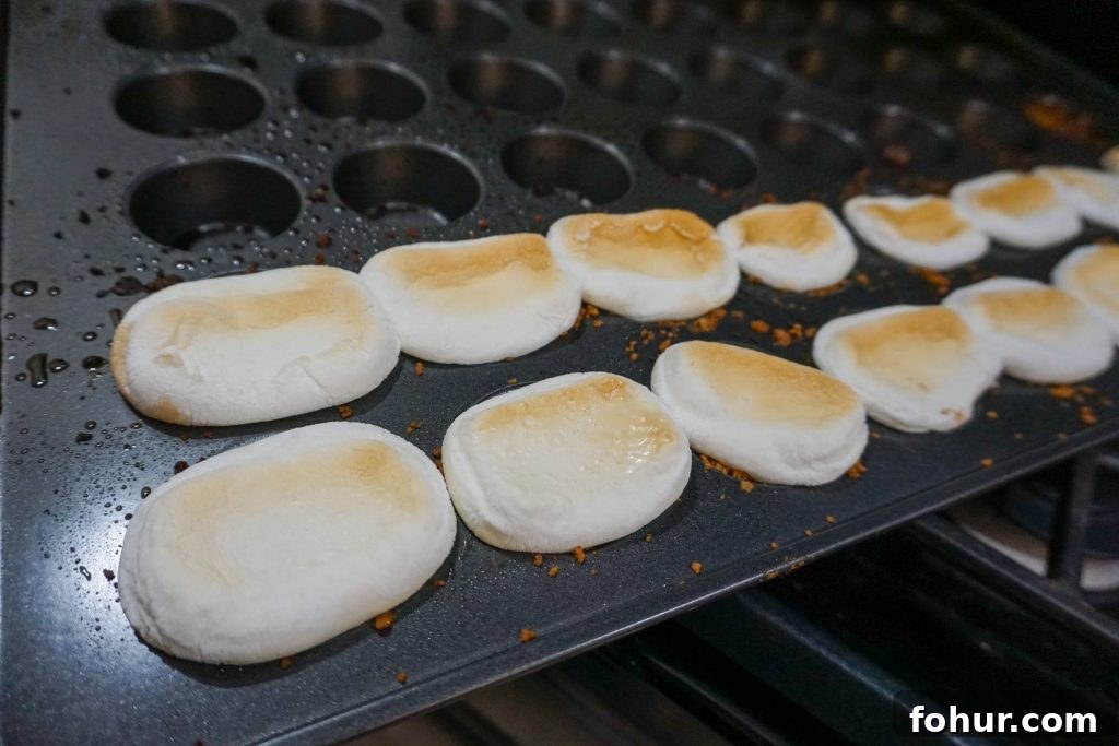 No-Bake Mini S'mores Bites Recipe for Summer Parties 5 What’s better than s’mores over the campfire on a summer evening? Not much, but you can enjoy s’mores even if you’re stuck indoors! This easy S’mores Bites recipe is super quick and easy to make at home, using just the usual s’mores ingredients. They make a great party dessert idea or a great summer snack!