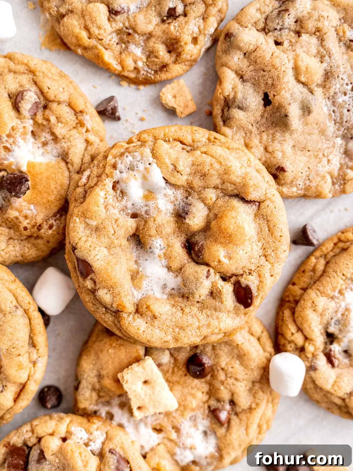 S'mores Cookies: Gooey Marshmallow and Chocolate Recipe 10 S'mores cookies with graham crackers, chocolate, and marshmallows.