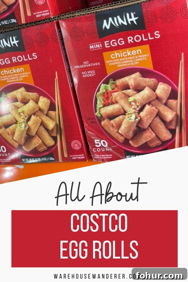 Keep Costco Egg Rolls on Hand for Last-Minute Guests 4 img 224 3