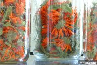 How to Dry Calendula: Air-Dry and Oven Methods