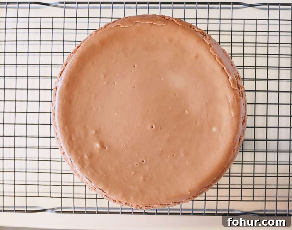 Decadent Chocolate Cheesecake Recipe with Ganache 5 Baked chocolate cheesecake on a wire rack with springform removed.