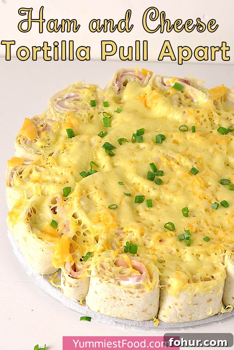 Ham and Cheese Tortilla Pull Apart Recipe 2 Ham and Cheese Tortilla