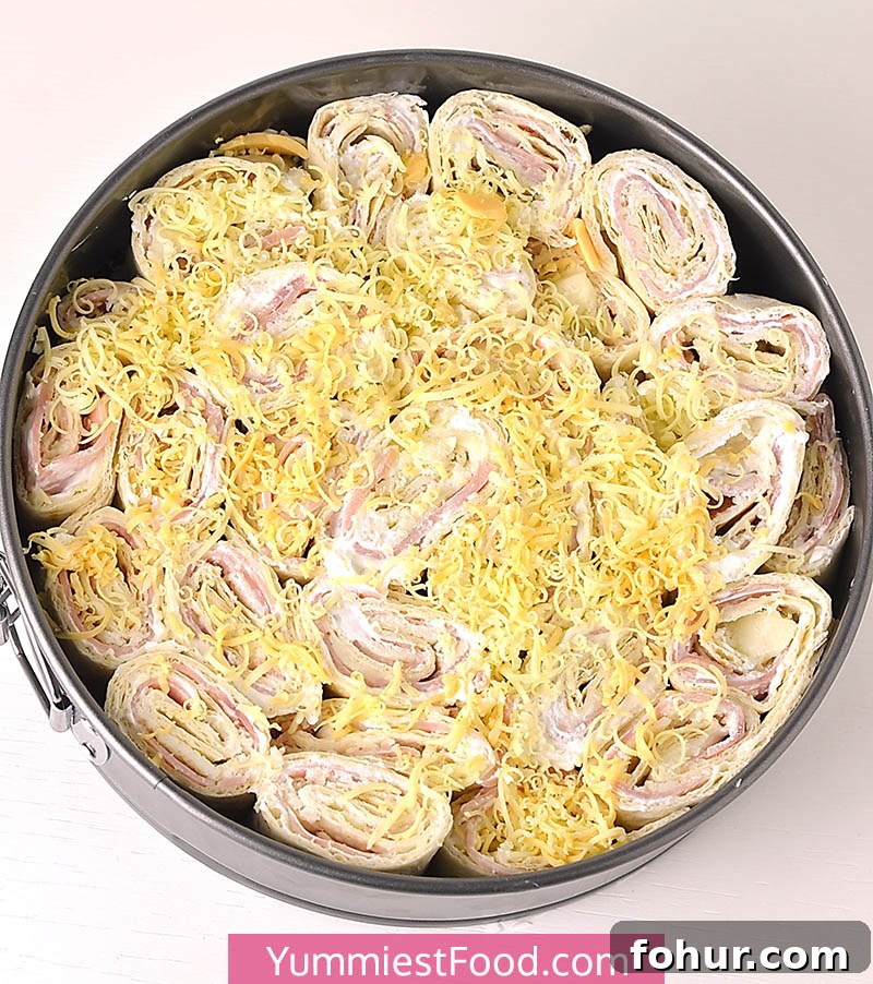 Ham and Cheese Tortilla Pull Apart Recipe 3 Ham and Cheese Tortilla Pull Apart