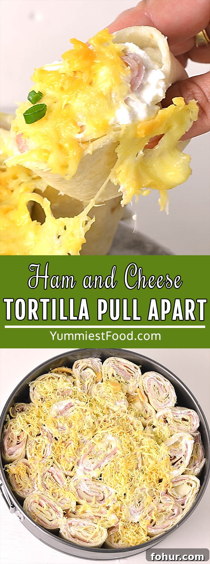 Ham and Cheese Tortilla Pull Apart Recipe 5 Ham and Cheese Pull Apart - a super easy appetizer or even lunch box idea that everyone will love. They are creamy, cheesy, and full of flavor!