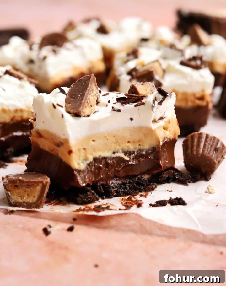 Irresistible Chocolate Peanut Butter Pie Bars Recipe 2 chocolate peanut butter pie bars slice with bite