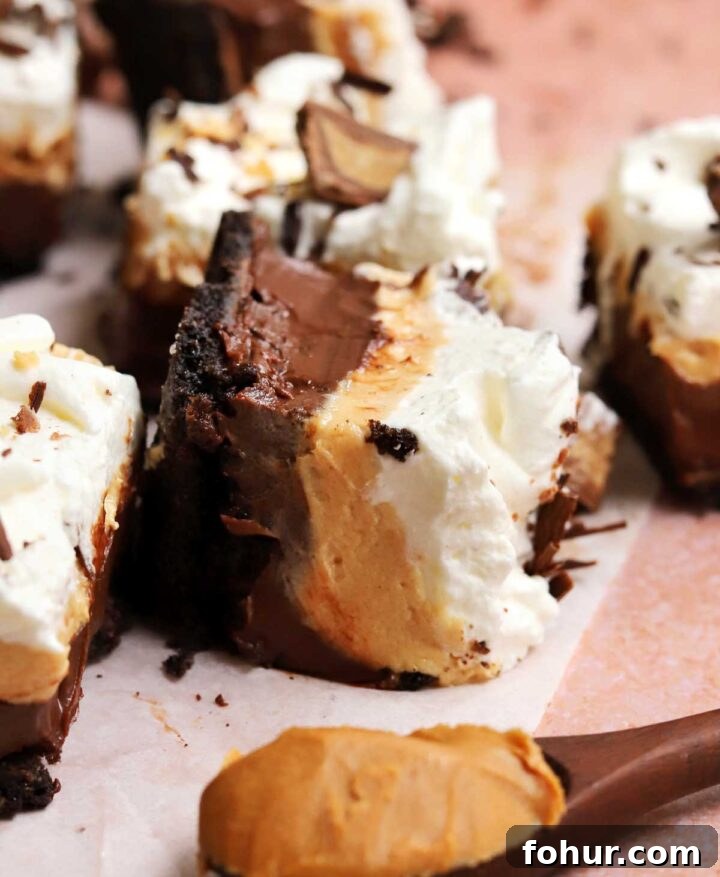 Irresistible Chocolate Peanut Butter Pie Bars Recipe 5 chocolate peanut butter pie bars slice