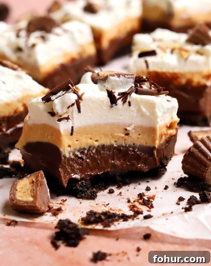 Irresistible Chocolate Peanut Butter Pie Bars Recipe 6 chocolate peanut butter pie bars slice with bite