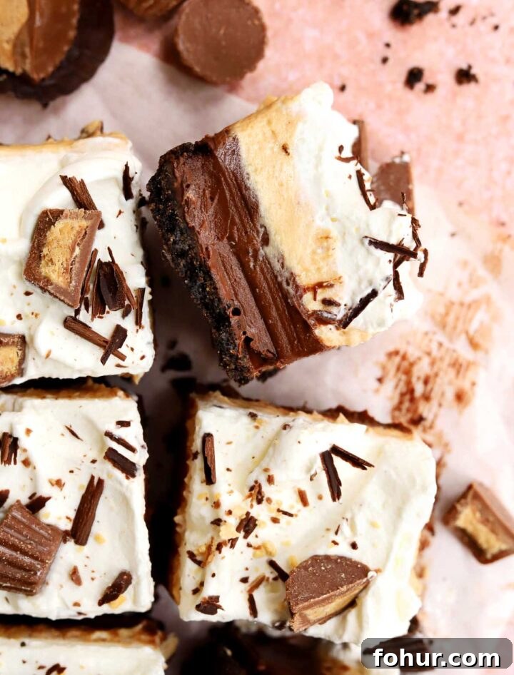 Irresistible Chocolate Peanut Butter Pie Bars Recipe 8 chocolate peanut butter pie bars slice cross section