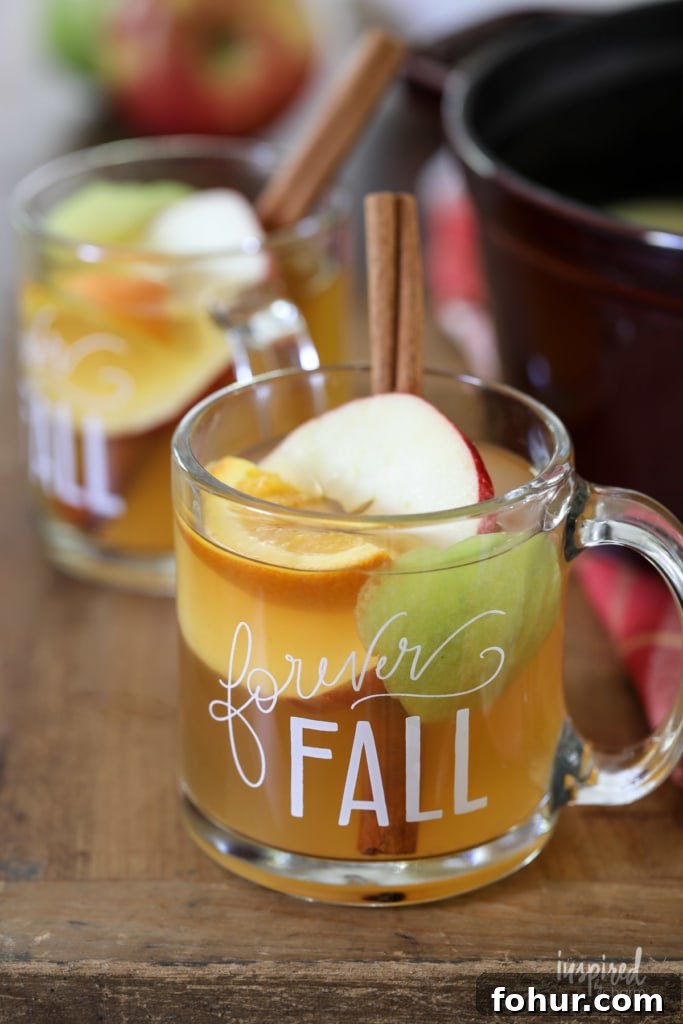 Apple Cider Mulled Wine in two glasses.