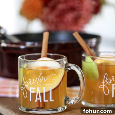 Homemade and really Good Cider Mulled Wine