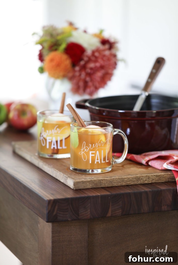 pot with Apple Cider Mulled Wine served in two glass mugs.