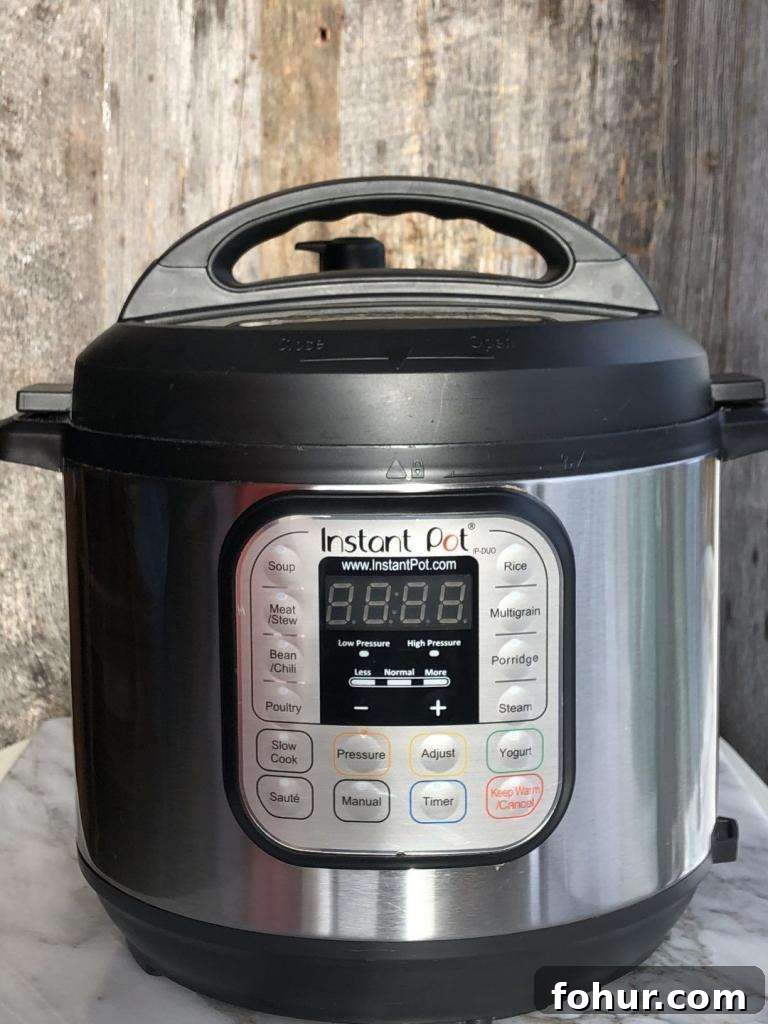 Instant Pot example