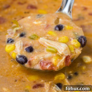 Enchilada Soup