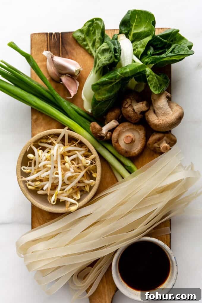 ingredients for ho fan noodles