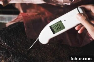 cooking to temperature