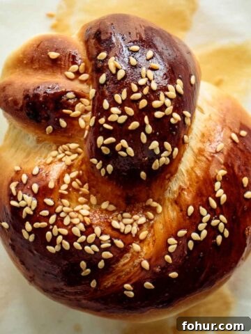 close up of a challah roll, just baked
