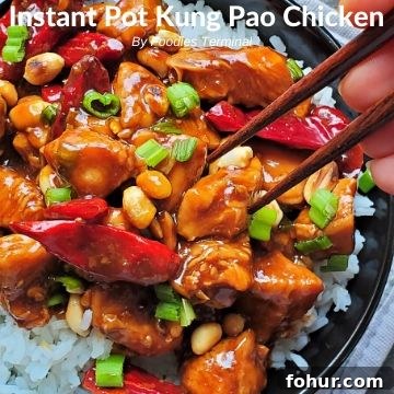 Kung Pao chicken on a bed of rice
