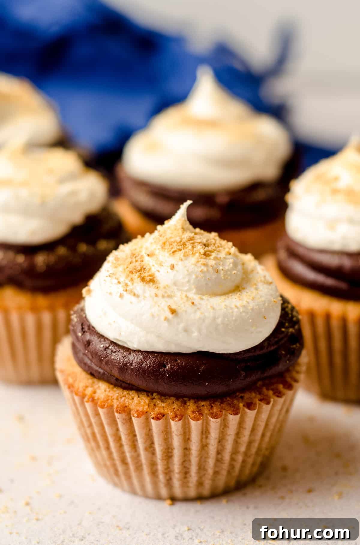 Decadent S'mores Cupcakes with Toasted Marshmallow Frosting 2 s'mores cupcakes
