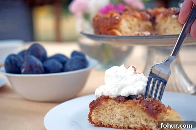 A piece of plum cake on a plate