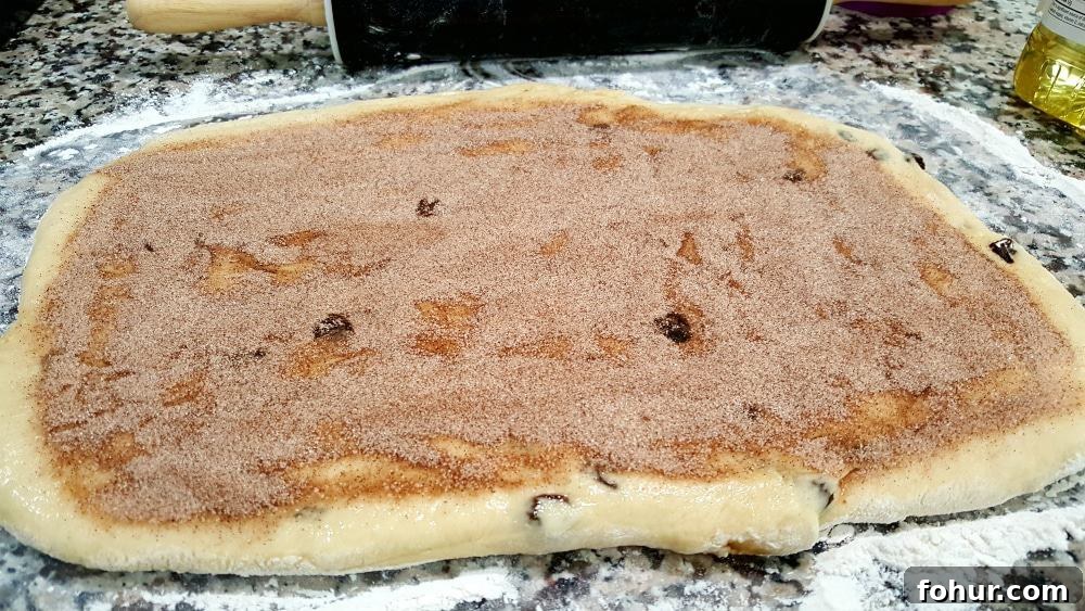 Cinnamon Swirl Raisin Bread Recipe: Homemade Loaf 6 cinnamon and sugar sprinkle over raisin brad dough.