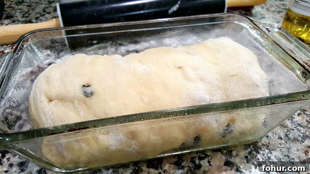 Cinnamon Swirl Raisin Bread Recipe: Homemade Loaf 7 cinnamon raisin bread dough rolled into a roll inside a loaf pan.