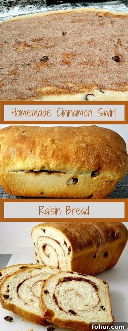 Cinnamon Swirl Raisin Bread Recipe: Homemade Loaf 11 Swirled Cinnamon Raisin Bread graphic with 3 different images of making the bread.