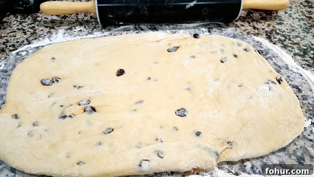 Cinnamon Swirl Raisin Bread Recipe: Homemade Loaf 5 raisin bread dough with raisins in it rolled out into a rectangle with a rolling pin.