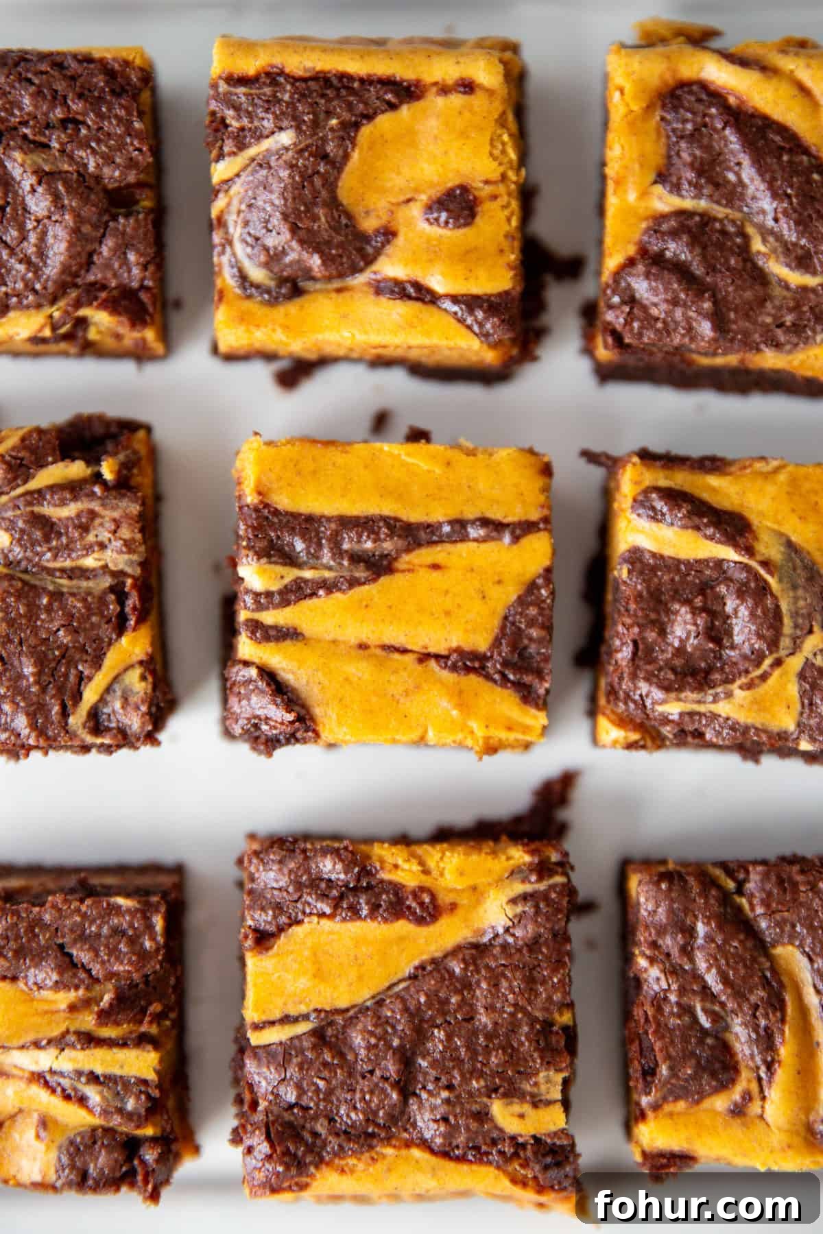 Fudgy Pumpkin Cheesecake Swirl Brownies Recipe 2 pumpkin cheesecake brownies cut into squares, with a visible swirl on top