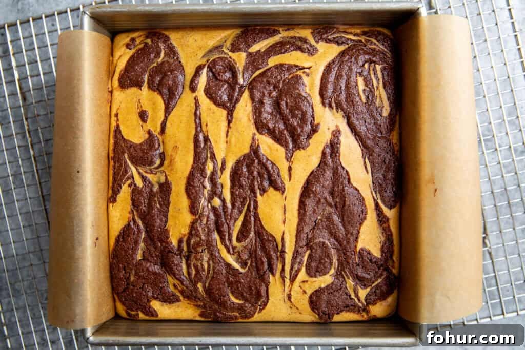 Fudgy Pumpkin Cheesecake Swirl Brownies Recipe 9 baked pumpkin cheesecake brownies with a visible swirl on top