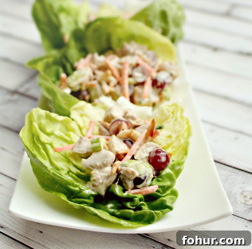 Zesty Soy Citrus Chicken Lettuce Wraps 2 chicken salad lettuce wraps