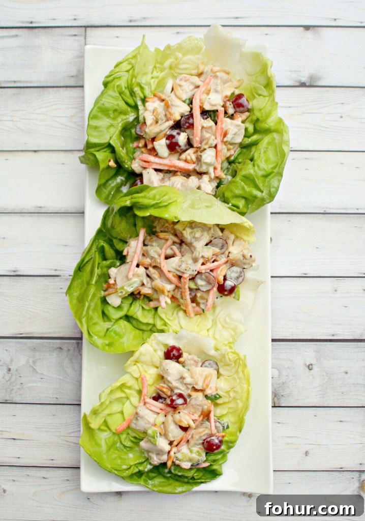 Zesty Soy Citrus Chicken Lettuce Wraps 3 chicken salad lettuce wrap 3