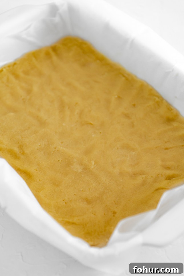 Tangy Vegan Lemon Bars Recipe with Shortbread Crust 3 Photo of one of the steps of making vegan lemon bars