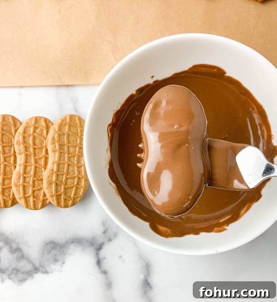 A Nutter Butter cookie dipped in chocolate being lifted by a fork. Plain Nutter Butter cookies sitting along side the chocolate.