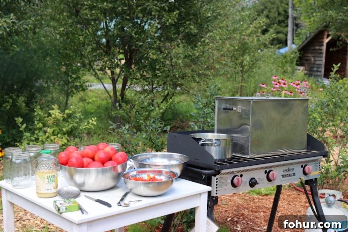 How to Acidify Tomatoes for Safe Home Canning 4 Canning Tomatoes Outdoor Canning Kitchen