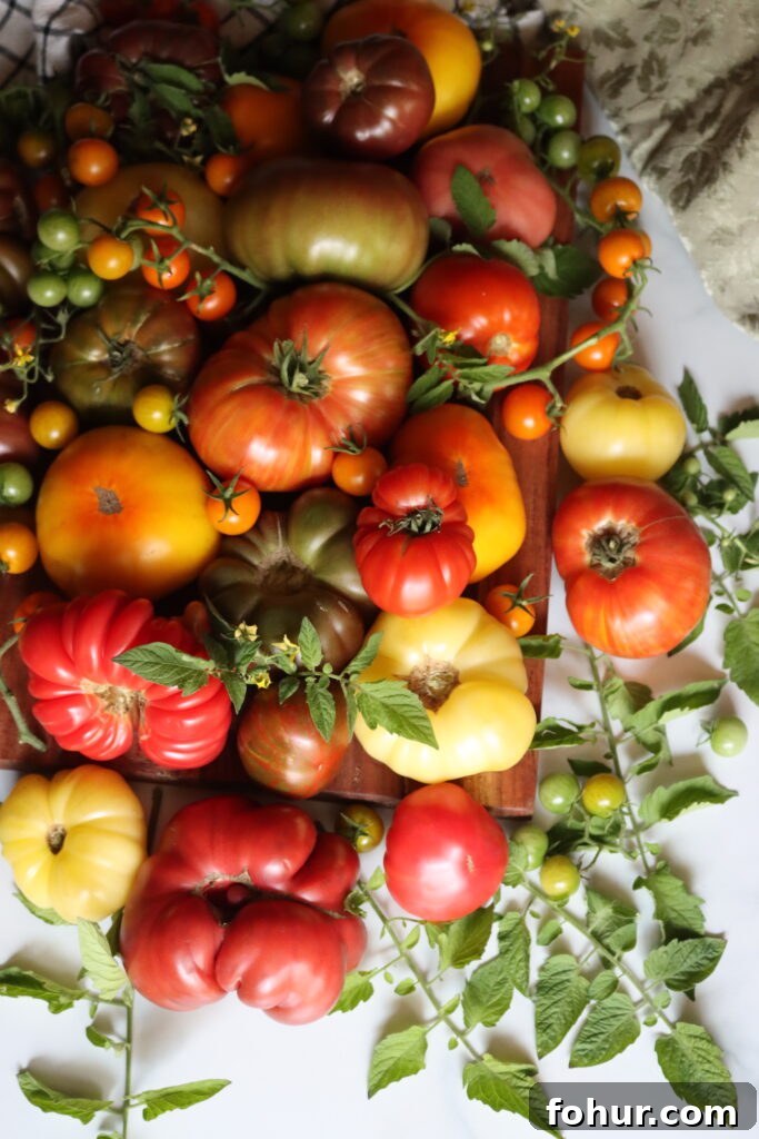 How to Acidify Tomatoes for Safe Home Canning 5 Heirloom Tomatoes for Canning