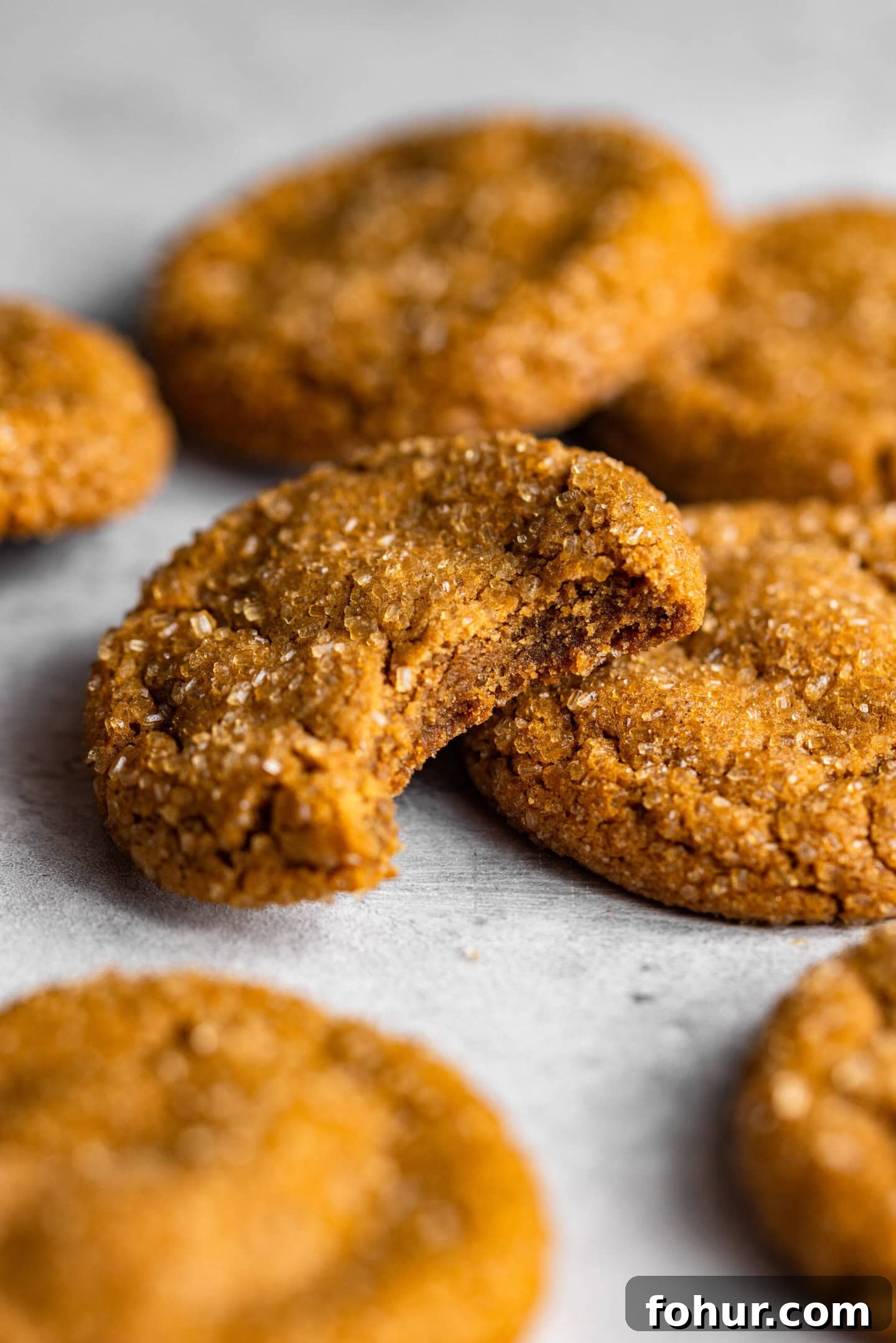 Soft, Chewy Small-Batch Molasses Cookies 3 A close up of a molasses cookie with a bite missing showing its soft and chewy texture