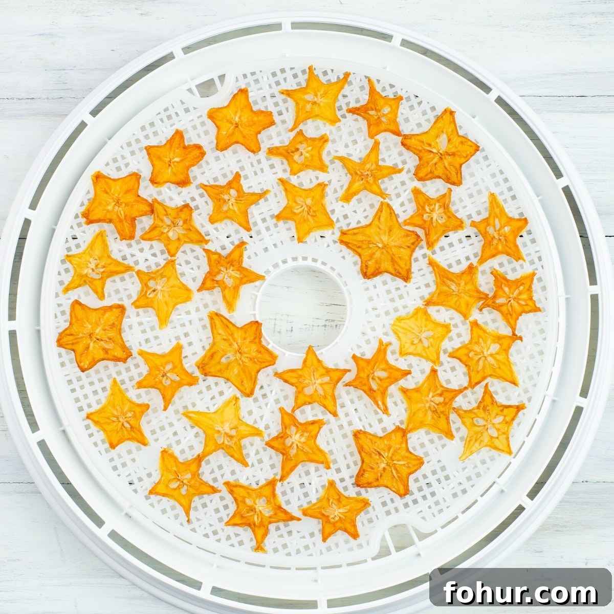 February Seasonal Produce: What Is Fresh Now 8 Dehydrating Star Fruit on a dehydrator drying tray