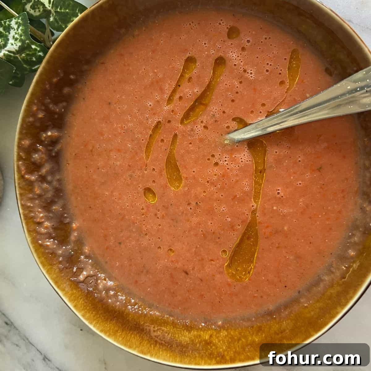 15 Weight Watchers Soup Recipes for Low-Point Meals 5 Air Fryer Toamto Soup