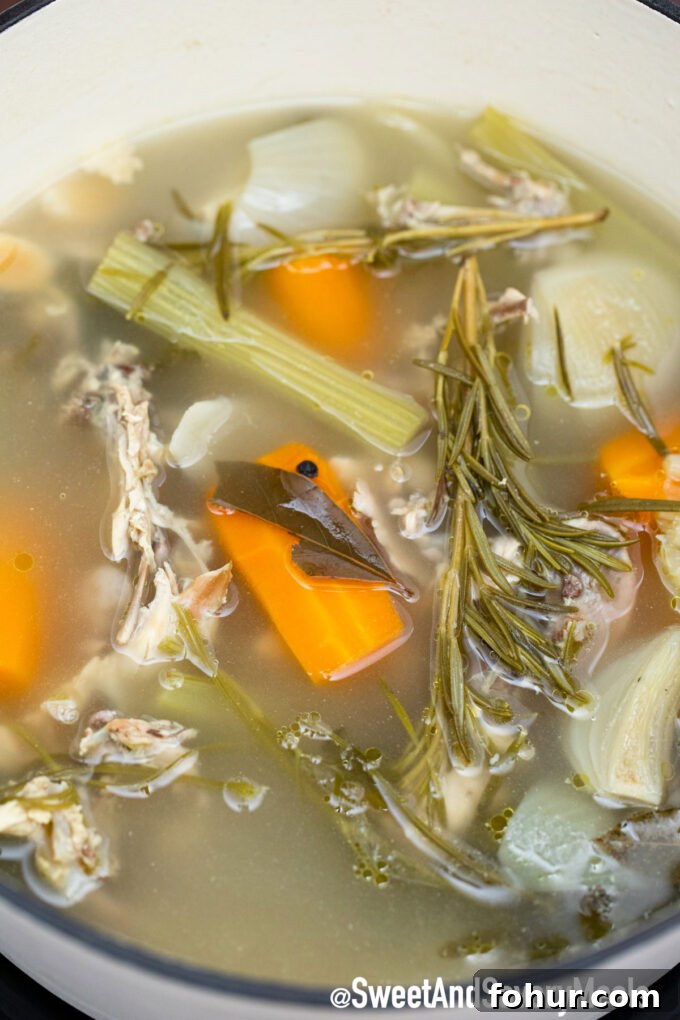 How to Make Homemade Chicken Stock from Scratch 5 Photo of how to make chicken stock.