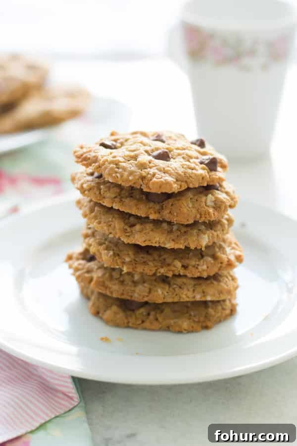 Peanut Butter Oatmeal Cookies