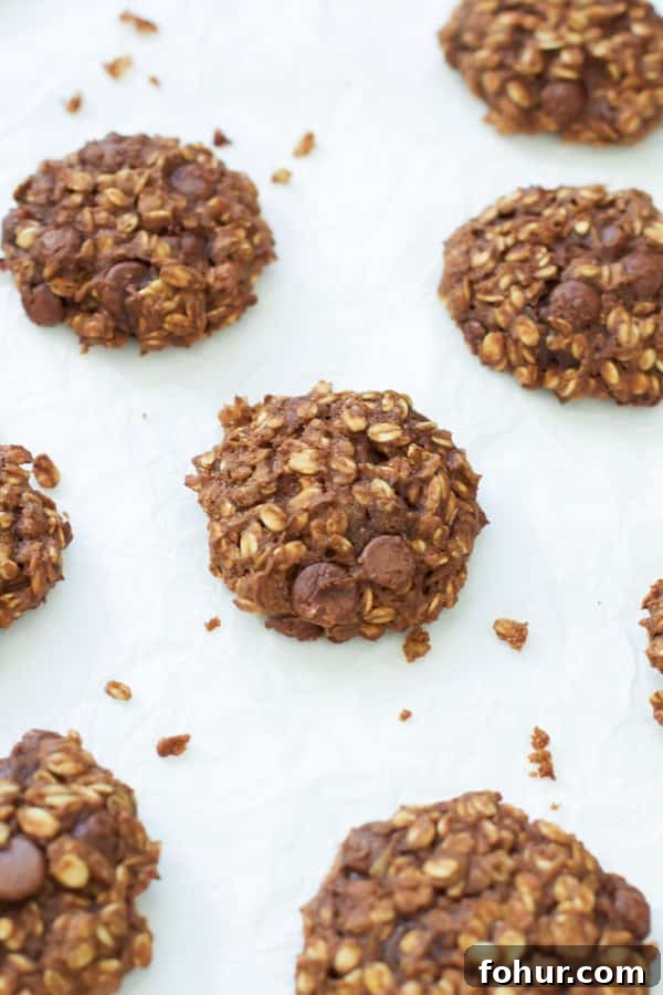 Pumpkin Oatmeal Cookies