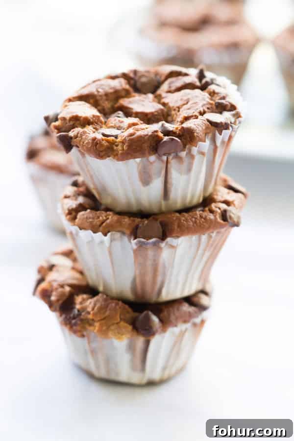 Blender Banana Oatmeal Muffins