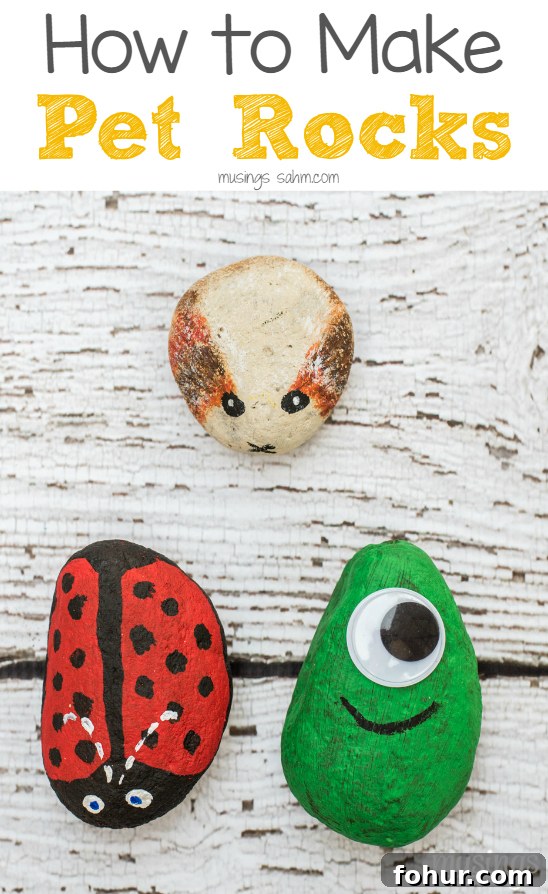 fall activities for preschoolers - picture of pet rocks