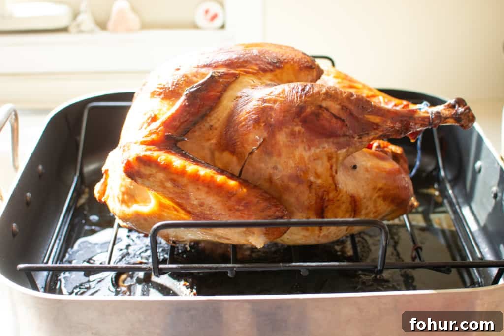 Roasted turkey cooling on a rack before carving