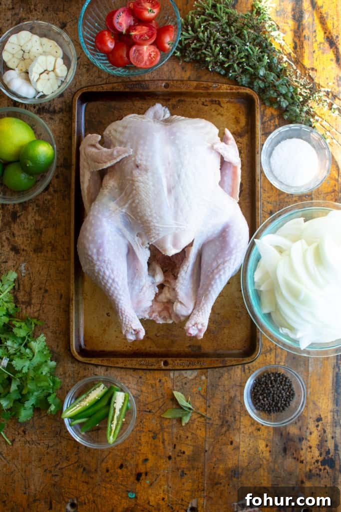 Ingredients for Mexican turkey including onions, chiles, garlic, tomatoes, cilantro and limes